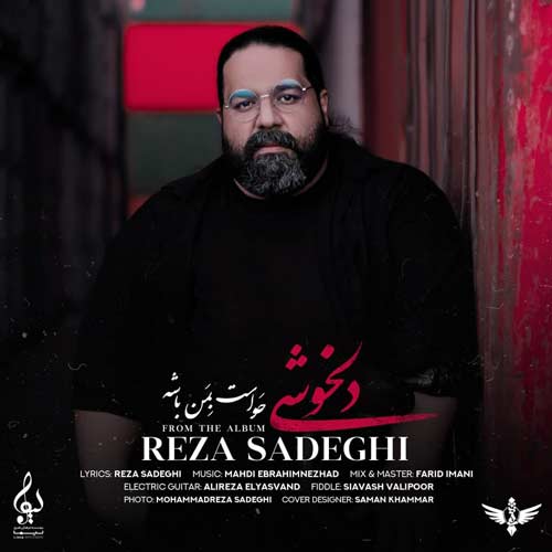 دانلود آهنگ جدید رضا صادقی دلخوشی
